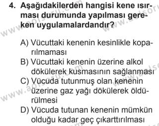 Aol Saglik Bilgisi Ve Trafik Kulturu 1 Dersi 2 Donem Sinavi Deneme Sinav Sorulari Aol Soru