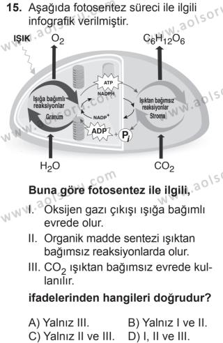 aol secmeli biyoloji 3 dersi 2 donem sinavi deneme sinav sorulari aol soru