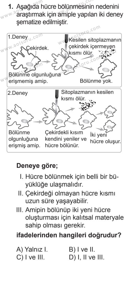 Aol Biyoloji 3 Dersi 2017 2018 Yili 2 Donem Sinavi Aol Soru