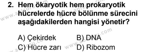 Aol Biyoloji 3 Dersi 2019 2020 Yili 1 Donem Sinavi Aol Soru