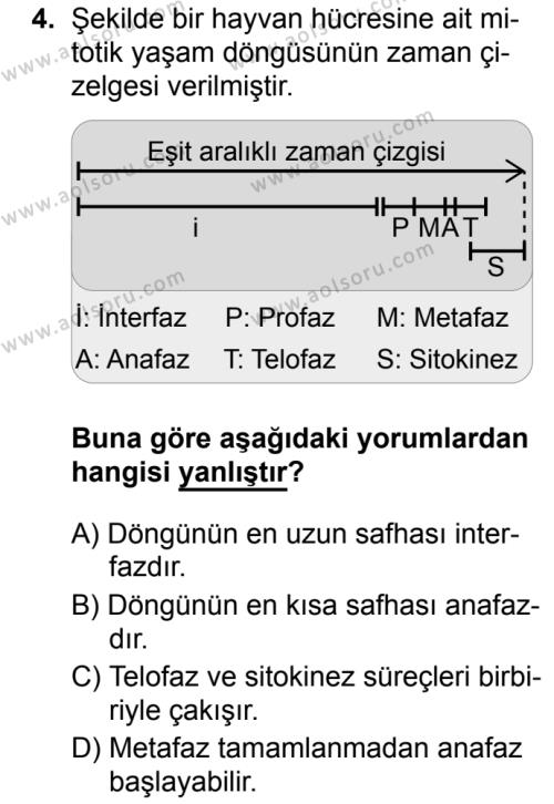 Aol Biyoloji 3 Dersi 2019 2020 Yili 1 Donem Sinavi Aol Soru