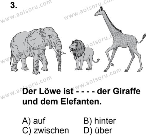 Seçmeli Yabancı Dil Almanca 7 Dersi 2014 - 2015 Yılı 3. Dönem Sınav Soruları 3. Soru