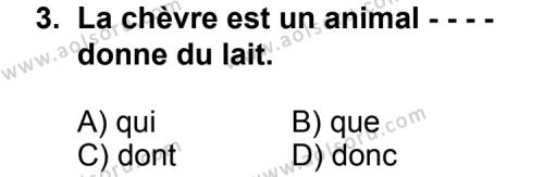 Seçmeli Yabancı Dil Fransızca 5 Dersi 2014 - 2015 Yılı 3. Dönem Sınav Soruları 3. Soru