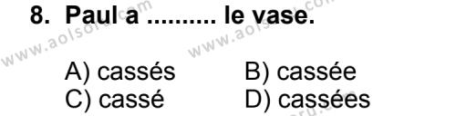 Seçmeli Yabancı Dil Fransızca 6 Dersi 2011-2012 Yılı 1. Dönem Sınavı 8. Soru