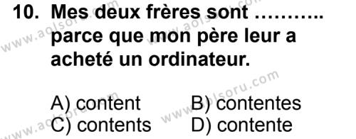 Seçmeli Yabancı Dil Fransızca 7 Dersi 2012-2013 Yılı 1. Dönem Sınavı 10. Soru
