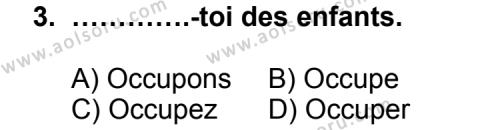 Seçmeli Yabancı Dil Fransızca 8 Dersi 2012 - 2013 Yılı 1. Dönem Sınav Soruları 3. Soru